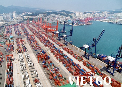 ngô hạt xuất xứ việt nam